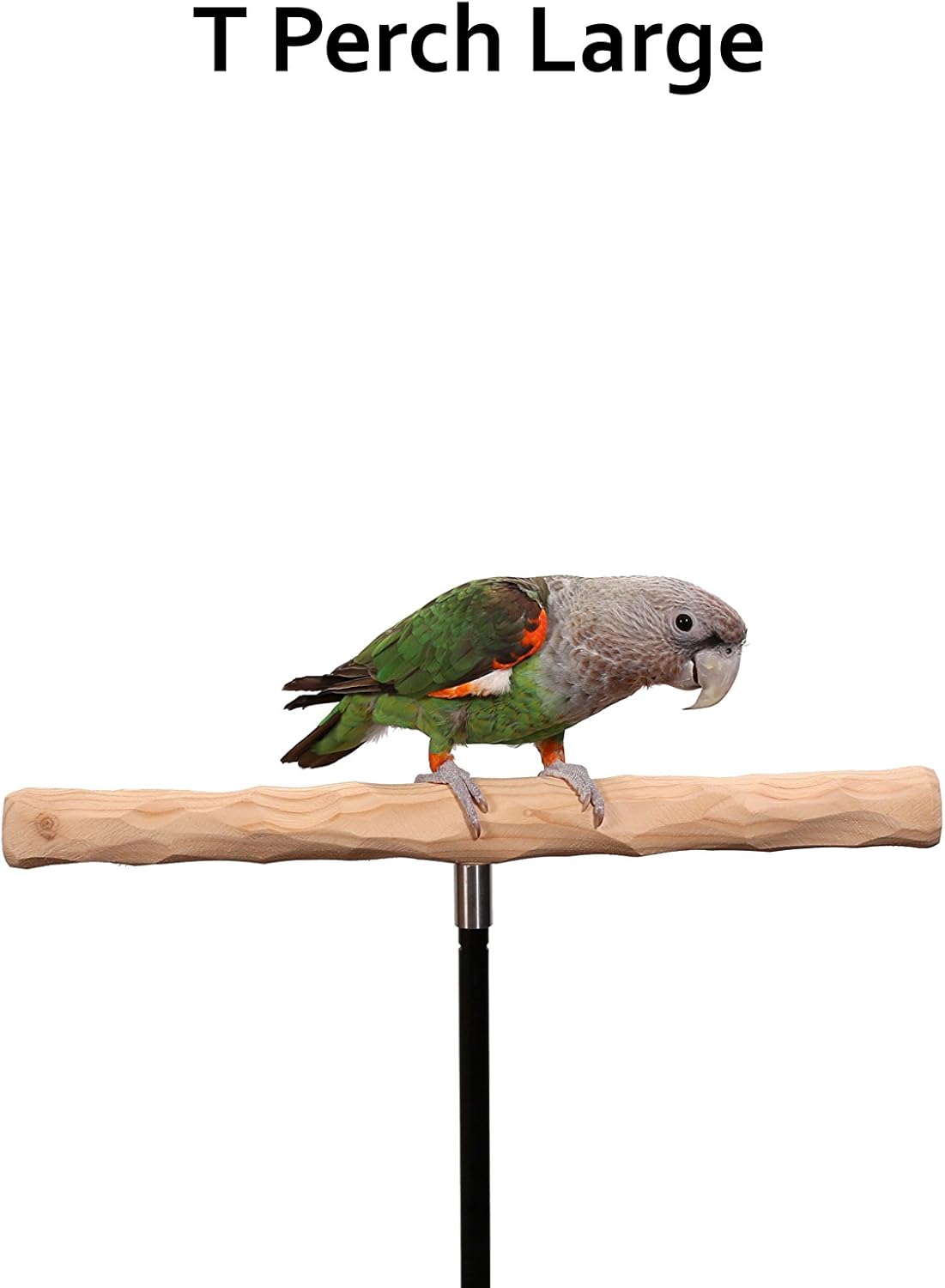 Parrot Training Perch Kit (T Perch, Large)
