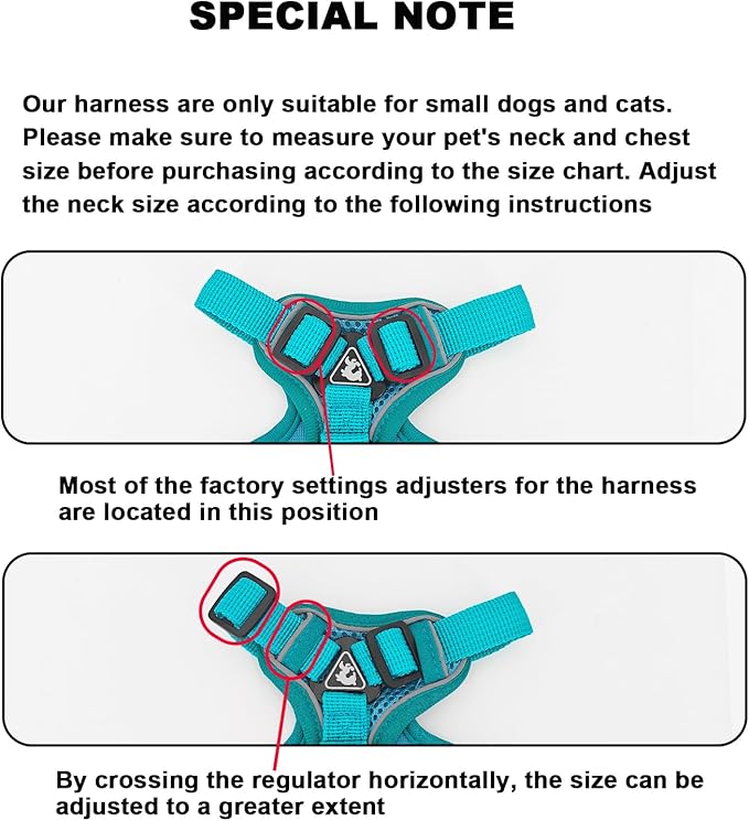 SOLMOONY Small Dog Harness,Soft Mesh Puppy Harness and Leash Set,No Escape Cat Harnesses for Training Walking,Reflective Adjustable Puppy Vest for Small Medium Dogs, Cats (Turquoise, S)