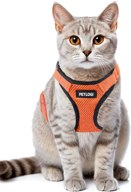 Cat Harness Escape Proof with Leash for Walking, Travel Vest Soft Chest Support, Adjustable Size, Escape Proof Soft Adjustable Vest Harnesses, Breathable, Kittens, Small Dogs (美/背縄/橙1/XS)