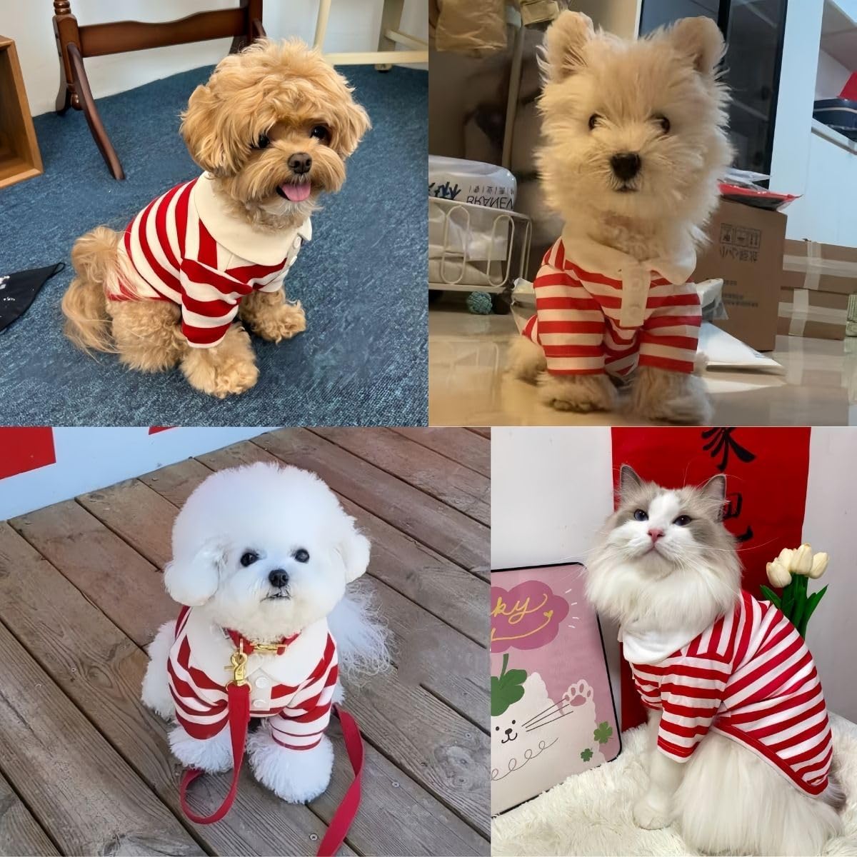 MANON ROSA Cute Dog Clothes Boy Dog Polo Shirt for Small Medium Dogs - Summer Male Puppy T Shirts for Yorkie Poodle Shih Tzu Dachshund Kittens, Striped Collared Pet Doggie Designer Outfits Red XXL