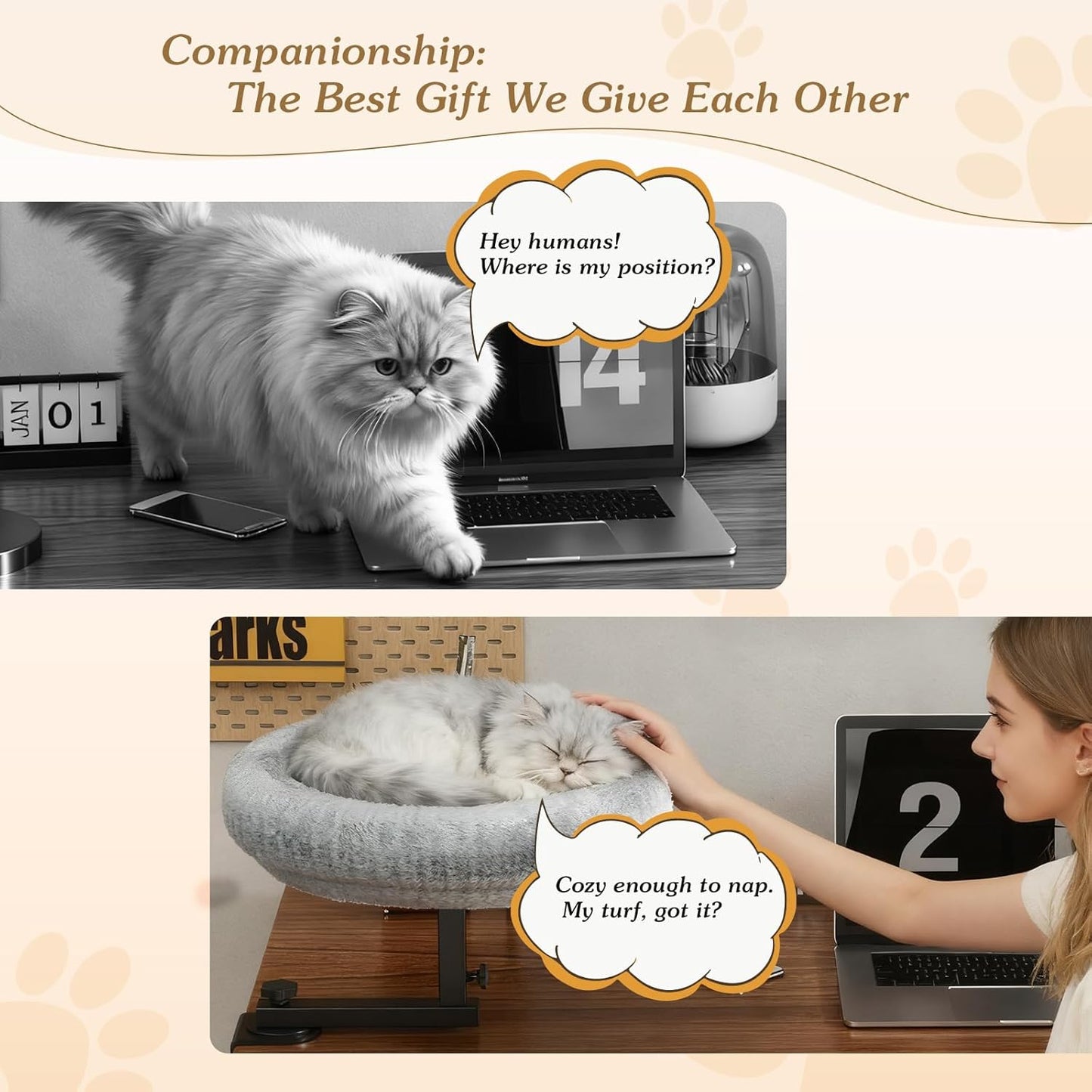 Cat Bed for Desk with Adjustable Height & 360 Rotation Elevated, Heavy-Duty Cat Desk Bed for Small Space, Soft & Comfortable Modern Unique Kitten Furniture, Indoor Cats Up to 60 lbs (Gray)