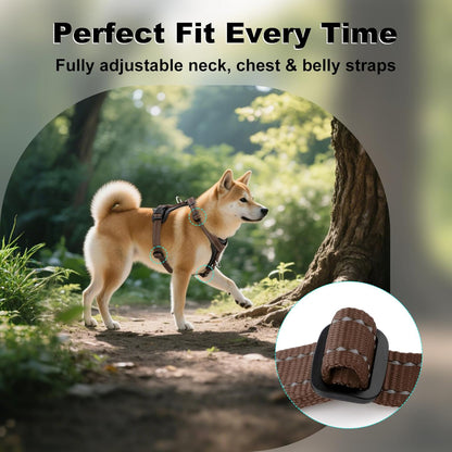 Plutus Pet Adjustable No Pull Dog Harness with Leather Accents, Heavy Duty Reflective Nylon Vest for Training, Hiking, Easy Walk Harness for Small, Medium, Large Dogs (Chocolate, S)