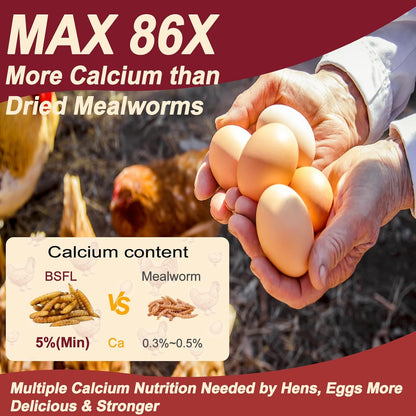 20LB Dried Black Soldier Fly Larvae for Chickens,Non GMO 86X More Calcium BSF Larvae Than Dried Meal Worms for Chicken, Turkey, Natural Black Fly Larvae for Chickens Bulk,Protein Chicken Grubs Treats