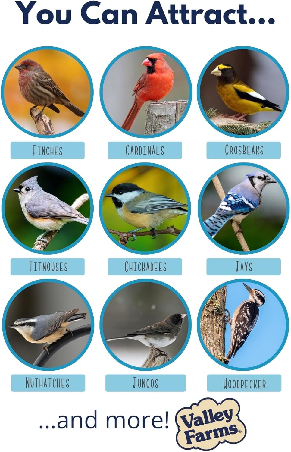 Valley Farms Hearty Delight 4 LB 2-Pack (8 LB Total) Wild Bird Food for Outside Feeders, No-Mess Wild Bird Seed with Sunflower Hearts & Peanut Kernels, No Fillers, Perfect for Outdoor Patios