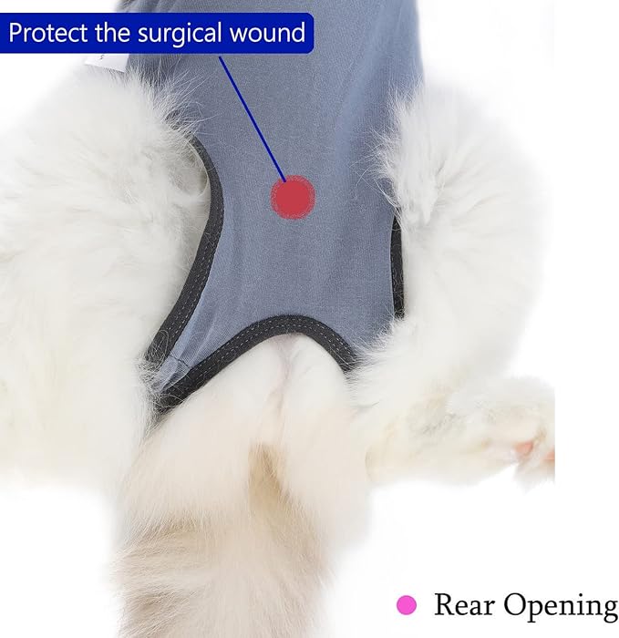 Cat Surgery Recovery Suit Cat Onesie for Cats After Surgery Spay Surgical Abdominal Wound Skin Diseases E-Collar Alternative Wear (Grey-Blue-S)