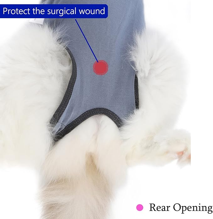 Cat Surgery Recovery Suit Cat Onesie for Cats After Surgery Spay Surgical Abdominal Wound Skin Diseases E-Collar Alternative Wear (Grey-Blue-L)