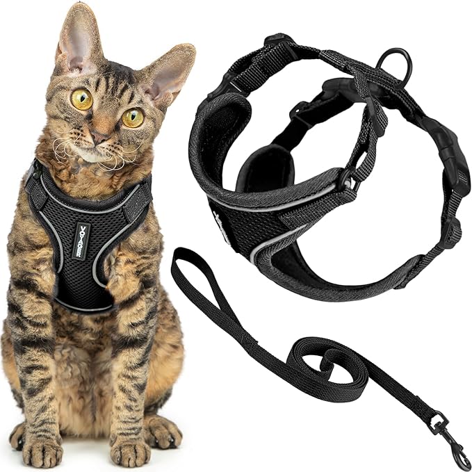 Voyager Escape Proof Cat Harness and Leash Set with Reflective Stitching, Neoprene Handle 5ft - Supports Small, Medium and Large Cats, Kittens for Walking by Best Pet Supplies - Black, XXS