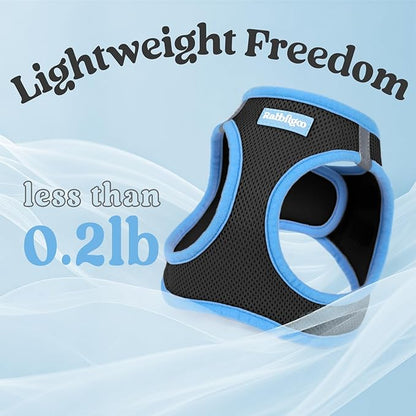 rabbitgoo Dog Harness Small Sized and Leash Set, Step-in Breathable Pet Harness, Soft Walking Reflective Puppy Vest for Small Dogs, Black & Light Blue, S