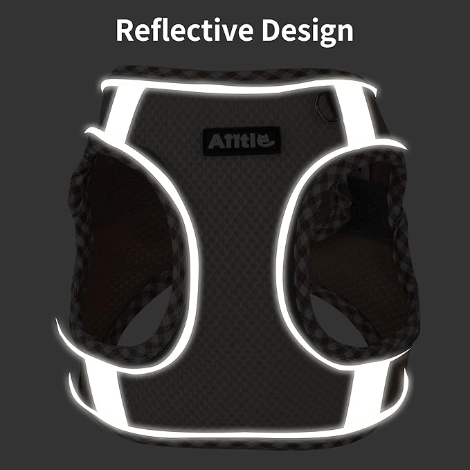 AIITLE Dog Harness and Leash Set - Ultra-Comfortable XXS-XL Vest with Strong Magic Tape & Glow-in-Dark Reflective Strips, Chafe-Free for Teddy, Schnauzer (Brown-Beige, M)