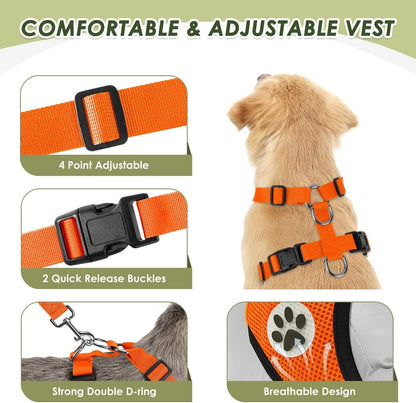 Lukovee Dog Seat Belt - Adjustable Dog Car Harness for Large, Medium, Small Dogs - Soft Padded & Breathable Mesh Dog Seatbelt with Vehicle Connector Strap (Orange Double Clip, Small)
