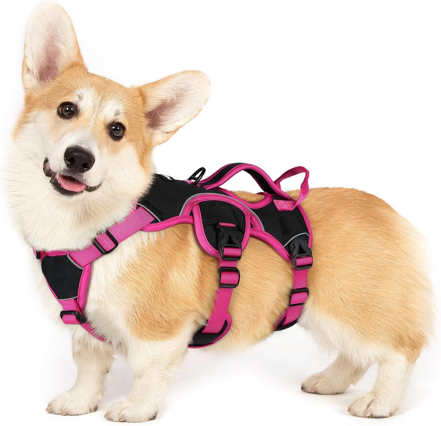 rabbitgoo Escape Proof Dog Harness Small Sized Dog, Soft Padded Full Body Pet Harness, Reflective Adjustable Vest with Lift Handle and Leash Clip for Walking Hiking Training, Pink & Black, S