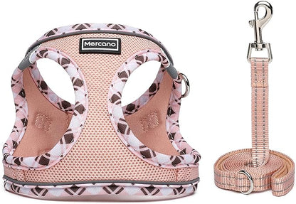 Mercano Soft Mesh Dog Harness and Leash Set, No-Chock Step-in Reflective Breathable Lightweight Easy Walk Vest Harnesses with Safety Buckle for Small Dogs, Cats (Champagne, XL)