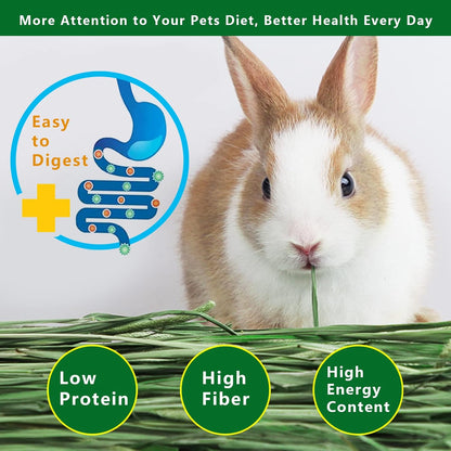 Timothy Hay 2.2LBS - Premium Hay for Rabbits Tortoise Guinea Pig Chinchilla - Dust Free Natural Fresh Hay (1.1 lbs, 2 Pack)