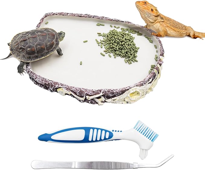 Bearded Dragon Food Bowl Water Dish, Resin Reptile Feeder Kit, Tank Aquarium Terrarium Accessories, Feeding Bowl for Amphibian Hermit Crab Turtle Lizard Chameleon Frog - 8 × 6 × 0.8 inch