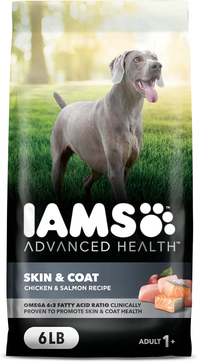 IAMS Advanced Health Skin & Coat Adult Dry Dog Food Chicken and Salmon Recipe, 6 lb. Bag