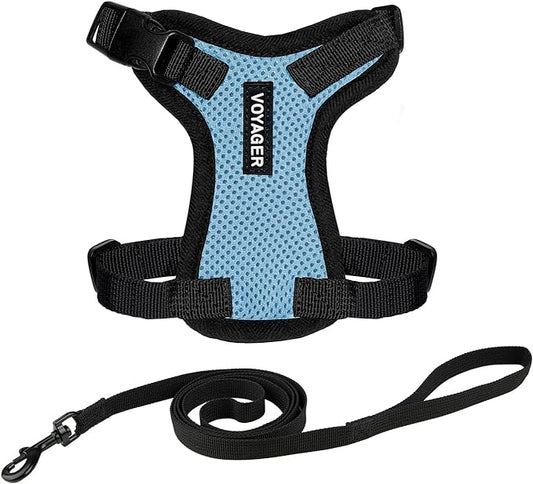 Voyager Step-in Lock Adjustable Cat Harness w. Cat Leash Combo Set with Neoprene Handle 5ft - Supports Small, Medium and Large Breed Cats by Best Pet Supplies - Baby Blue/Black Trim, XXS