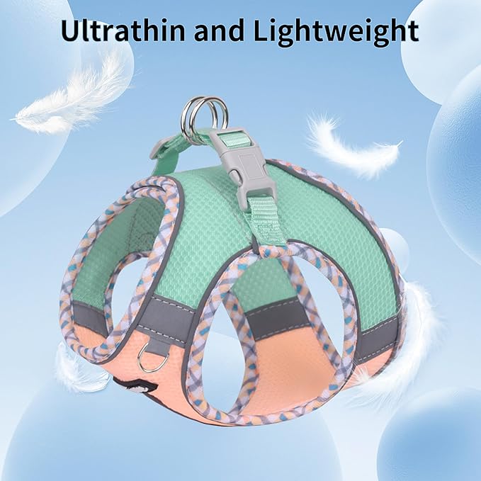 AIITLE XXS Dog Harness & Leash Set - Breathable Reflective No-Choke Small Dog Harness for Teacup Puppies, Indoor/Outdoor Use - Boston Terrier, Maltese, Chihuahua (Turquoise-Pink, XXS)