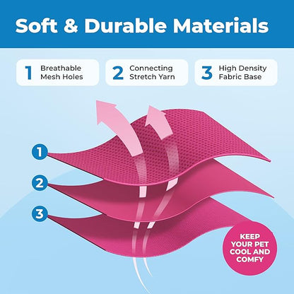 Best Pet Supplies Voyager Escape Proof Cat Harness and Leash Set with Reflective Stitching, Neoprene Handle 5ft - Supports Small, Medium and Large Cats, Kittens - Fuchsia, M (Chest: 16.5-19.5")