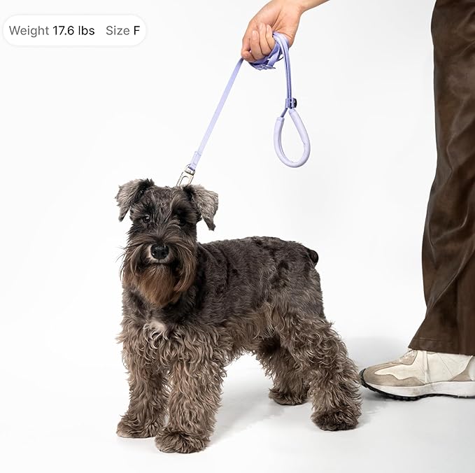 Ultra Lightweight Cat Leash Adjustable with Padded Handle, Soft Thin Nylon Cat Walking Training Waist Crossbody Leash for Kitten>4lbs Small Medium Large Cats, Puppy, No Harness (Blurple)