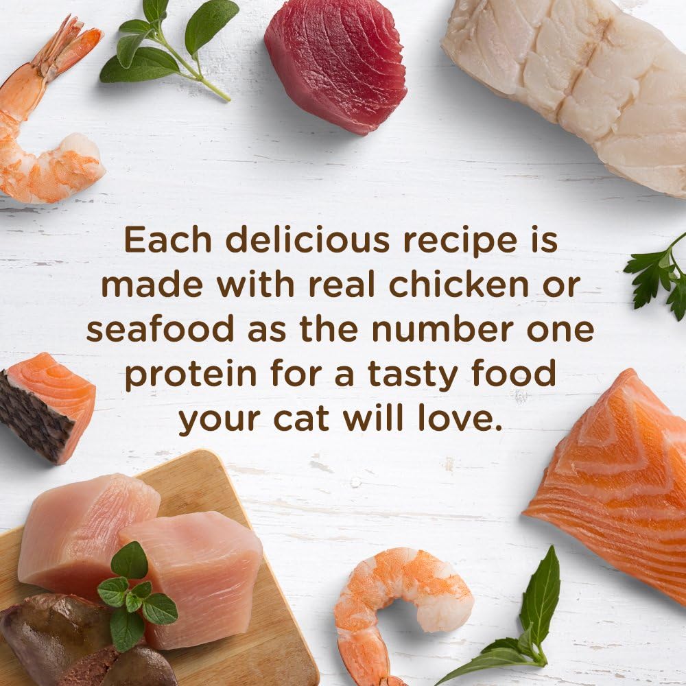 Rachael Ray Nutrish Natural Wet Cat Food, Chicken & Shrimp Pawttenesca Recipe, 2.8 Ounce Cup (Pack of 12), Grain Free