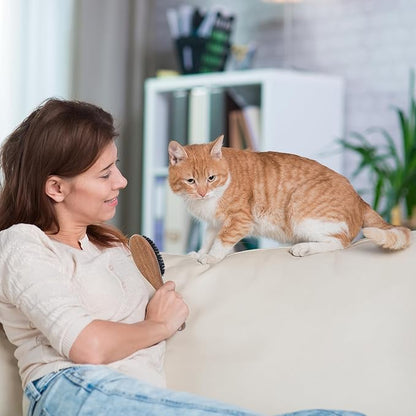 Takavu Boar Bristle Cat Hair Brush, Gentle Grooming Brush with Natural Bristles and Wooden Handle for Sensitive Skin, Pet Cleaning Supplies Keeping Your Cat's Fur Hair Coat Healthy and Shiny