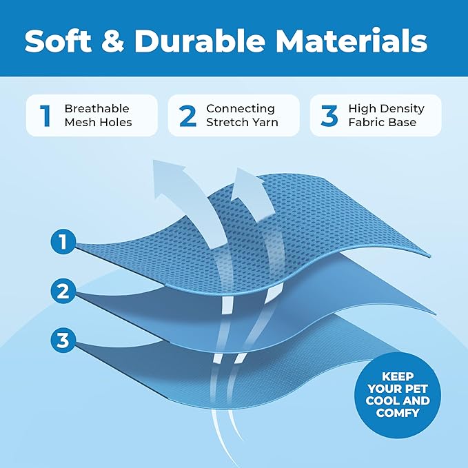 Voyager Escape Proof Cat Harness and Leash Set with Reflective Stitching, Neoprene Handle 5ft - Supports Small, Medium and Large Cats, Kittens for Walking by Best Pet Supplies - Baby Blue, XXS