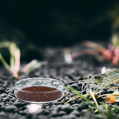 Patelai 3 Pieces Aquarium Shrimp Feeding Dish Clear Glass Fish Tank Feeding Bowl Food Bowl Freshwater Tray Feeder, 60mm, 65mm, 80mm