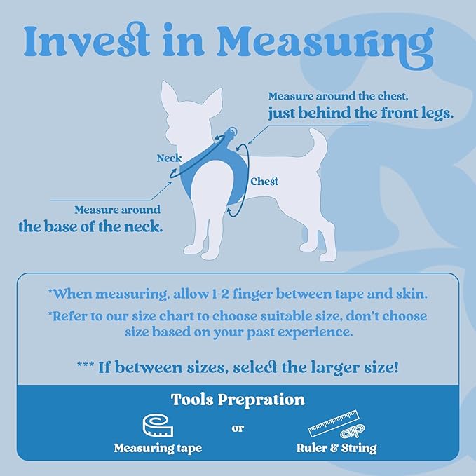 rabbitgoo Small Dog Harness, Step-in Soft Mesh Puppy Vest with Safety Buckle, Breathable Reflective Pet Harness for Small Sized Dogs, Blue XS