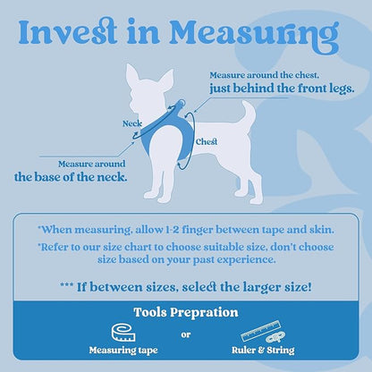 rabbitgoo Small Dog Harness, Step-in Soft Mesh Puppy Vest with Safety Buckle, Breathable Reflective Pet Harness for Large Dogs, Blue XXL