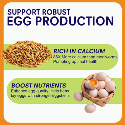 5lbs Dried Black Soldier Fly Larvae for Chickens - 100% Natural BSF Larvae More Calcium Than Dried Mealworms - High Protein BSFL Chicken Treats for Laying Hens Ducks Birds