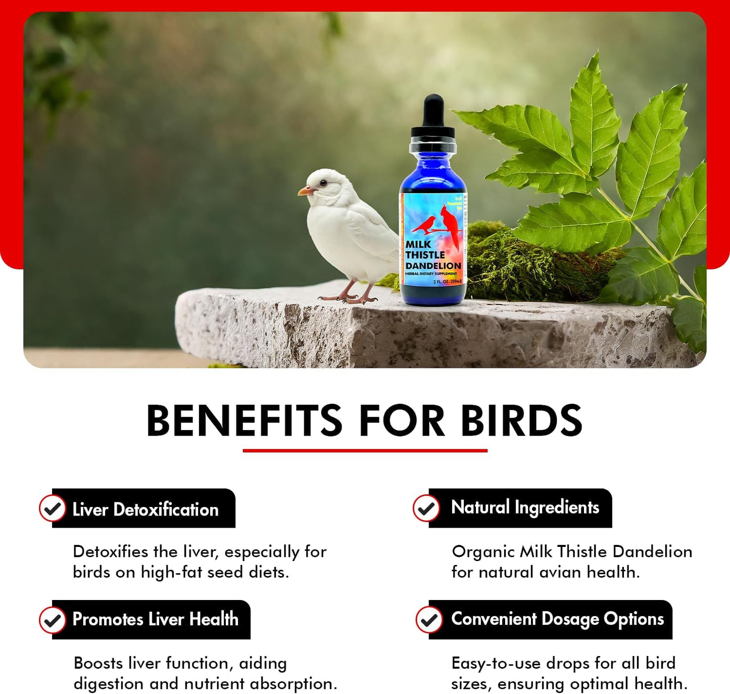 Morning Bird Milk Thistle & Dandelion Extract 2 fl oz - Organic Bird Supplement for Optimal Health – Support Liver Heath & Promotes Detox - Suitable for All Birds Species