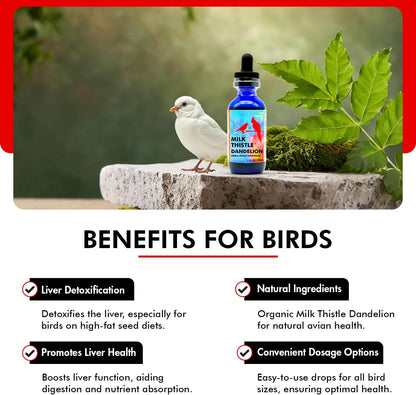 Morning Bird Milk Thistle & Dandelion Extract 2 fl oz - Organic Bird Supplement for Optimal Health – Support Liver Heath & Promotes Detox - Suitable for All Birds Species