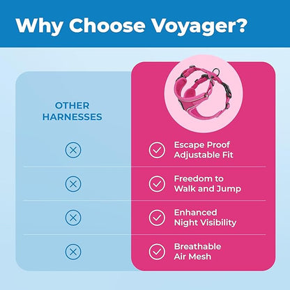 Voyager Escape Proof Cat Harness and Leash Set with Reflective Stitching, Neoprene Handle 5ft - Supports Small, Medium and Large Cats, Kittens for Walking by Best Pet Supplies - Fuchsia, XXS