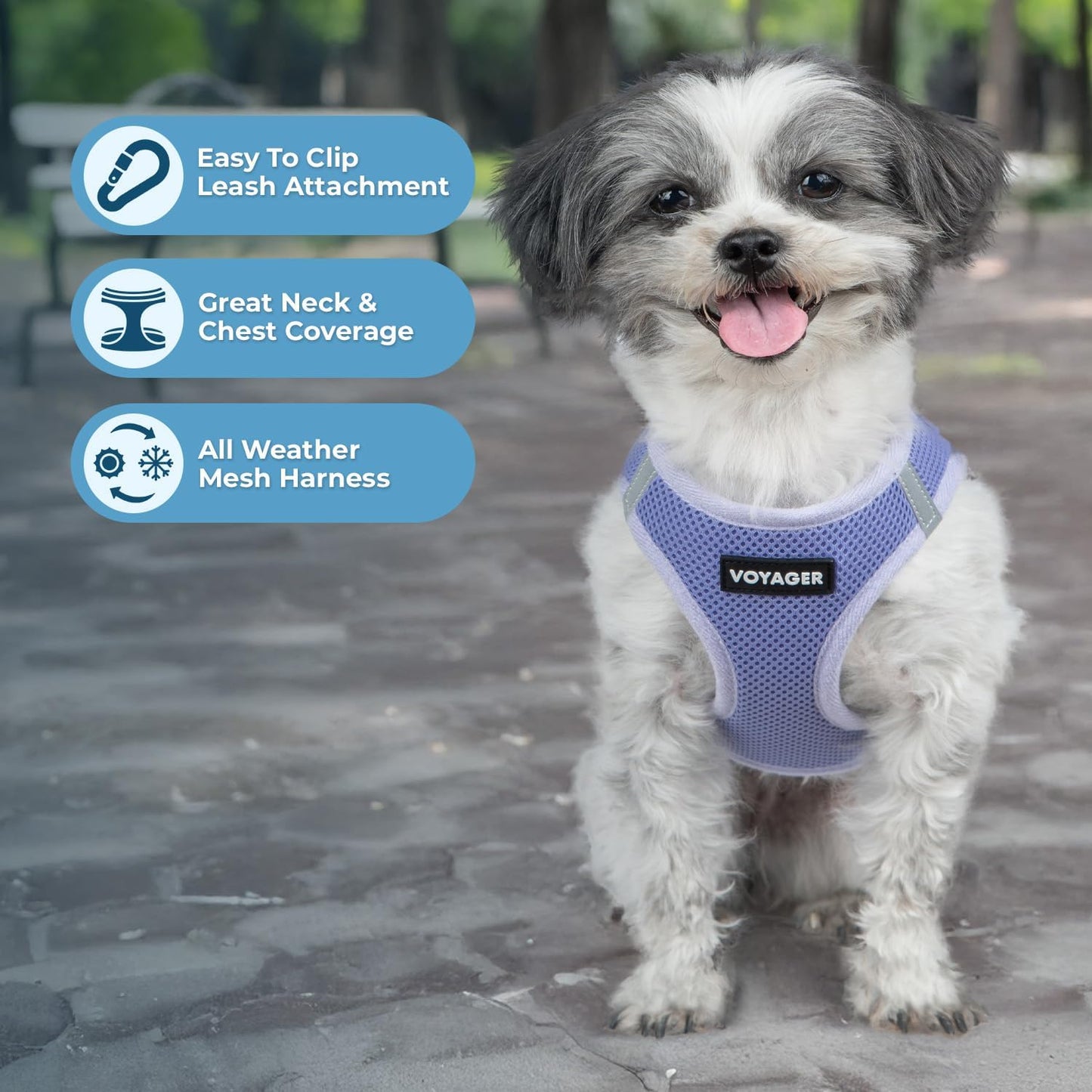 Best Pet Supplies Voyager Step-in Air Harness - All Weather Mesh, Reflective, No Pull Harness for Dogs, Cats - Secure with Hook & Loop Fastener, Buckle, Double D-Rings - Lavender, XL