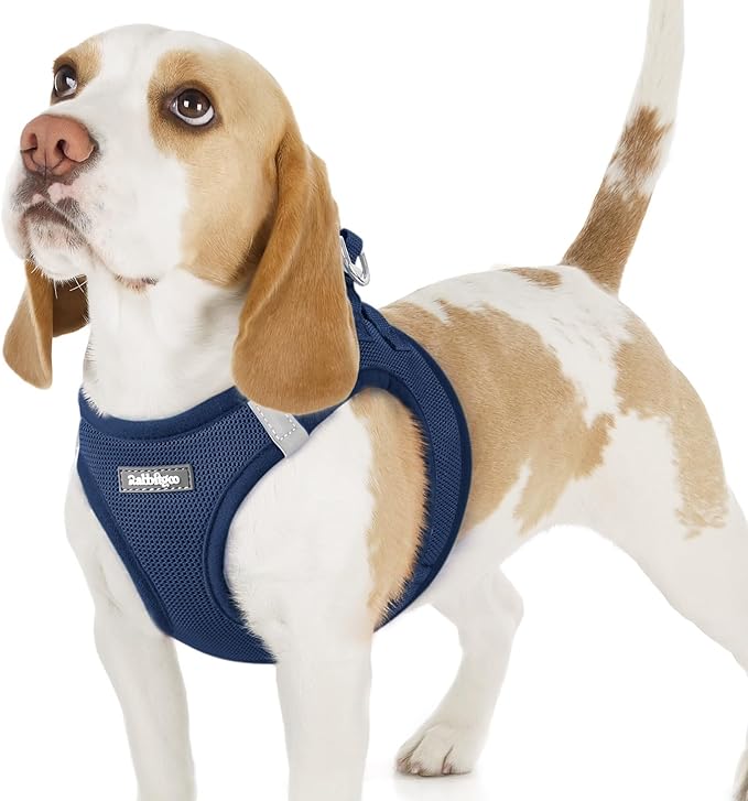 rabbitgoo Small Dog Harness, Step-in Soft Mesh Puppy Vest with Safety Buckle, Breathable Reflective Pet Harness for Small Sized Dogs, Navy Blue M