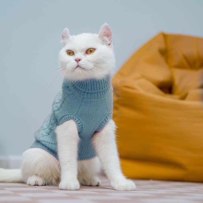 PUPTECK Winter Cat Sweater Coat - Soft Warm Cold Weather Clothes Knitwear for Kittens & Small Dogs Indoor Outdoor Wearing, Knitted Classic for Doggies Kitties Girls Boys, Sky Blue, M