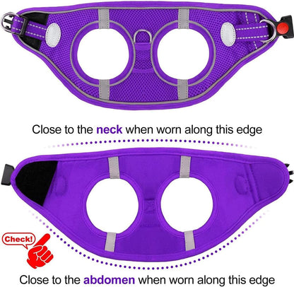 Joytale Small Dog Harness, Breathable Mesh Step-in Vest, Reflective Soft Padded Harnesses for Cats and Puppies Dogs, Purple, XXXS
