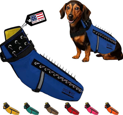 CoyoteVest Dog Harness Protection Vest, Reflective Dog Accessories with Spikes to Shield Your Pet from Raptor and Animal Attacks, Proudly Made in America (Medium, Royal Blue)