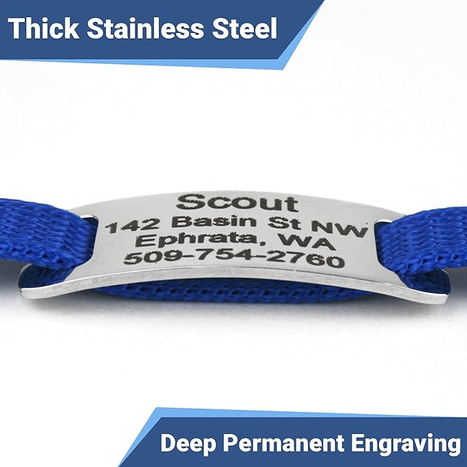 GoTags Personalized Reflective Cat Collars with Tag, Engraved Custom with Name and Phone, Breakaway Collar with Safety Buckle and Bell, Adjustable for Cats and Kitten, (Red with Nameplate)