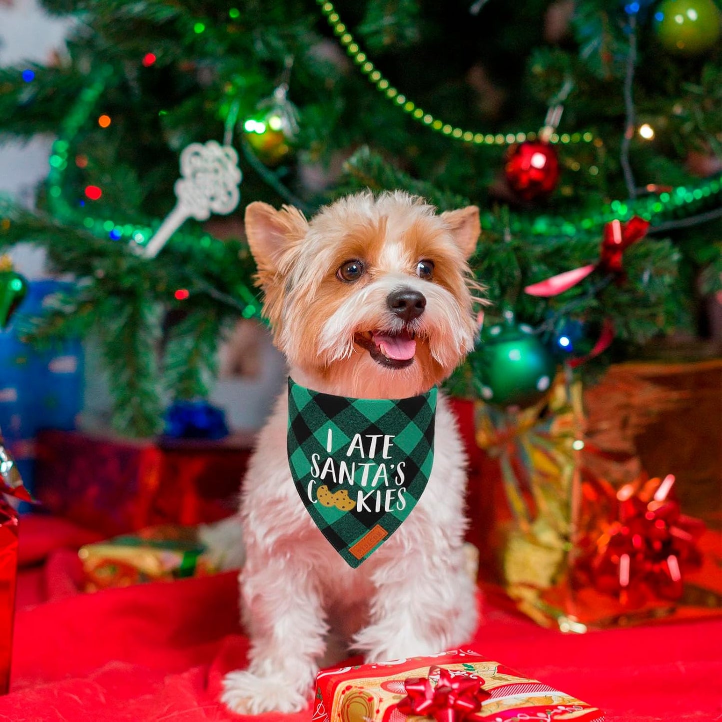 PTDECOR 2 Pack Dog Christmas Bandanas, Classic Red Green Plaid Pet Scarf Triangle Bibs Kerchief Christmas Bandanas for Small Dogs Pets (Small)