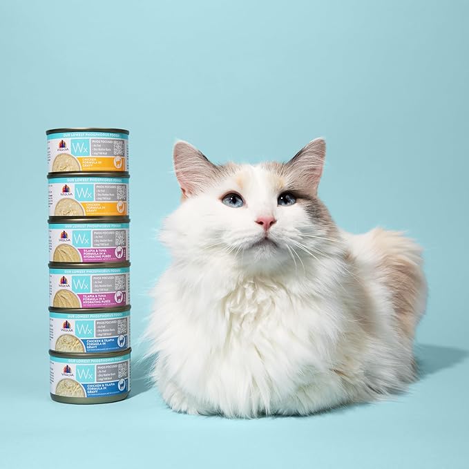 Weruva Wx Phos Focused Natural Wet Cat Food, Our Lowest Phosphorus Formulas