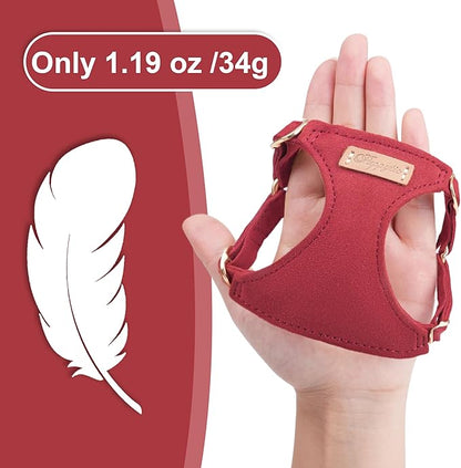 Puppytie No Pull Small Dog Harness with Multifunction Dog Leash,Lightweight Soft Adjustable No Choke Escape Proof Pet Harness Vest Pet Harness Vest,red Hawthorn,S