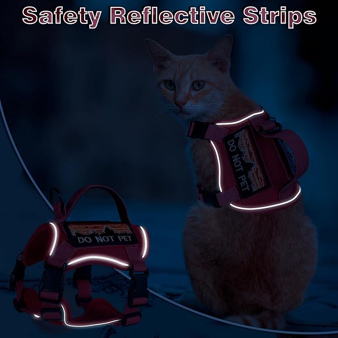 Tactical Cat Harness for Walking, Adjustable Escape Proof Pet Vest for Large Cat,Easy Control Breathable Cat Vest with Handle，Molle Patches (Pink+Leash, L)