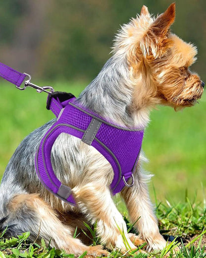 Joytale Small Dog Harness, Breathable Mesh Step-in Vest, Reflective Soft Padded Harnesses Small Sized Dog for Walking, Purple, S