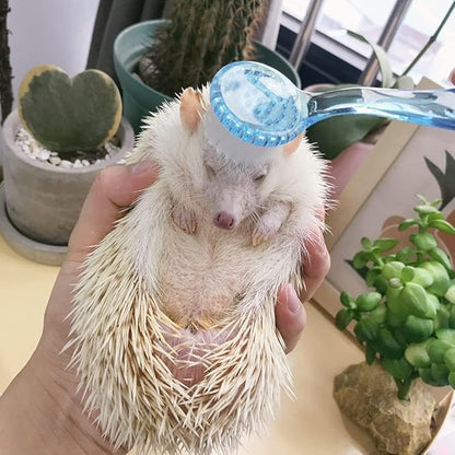 3 Pck Hamster Bath Brush, Reptile Cleaning Supplies,Massage Combs for Hedgehog Turtle