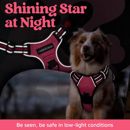 rabbitgoo Dog Harness Medium Sized, No Pull Dog Vest with 3 Buckles, Adjustable Soft Padded Pet Harness with Easy Control Handle and Reflective Strips, Pink, M