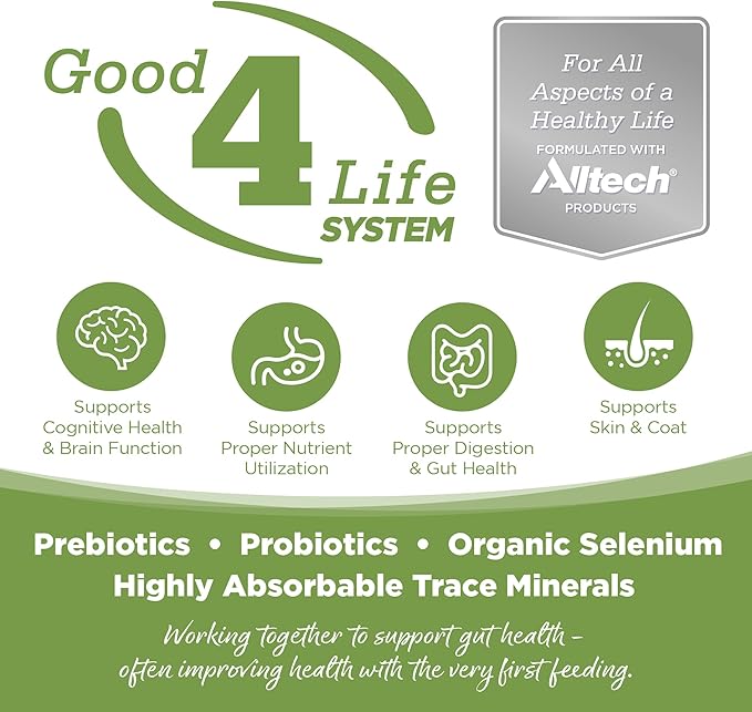 NutriSource Element Series Coastal Plains Dry Dog Food, Turkey, Salmon, and Whitefish, 12LB