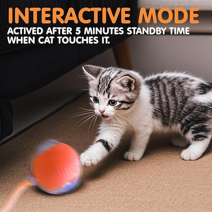 Rocfish Durable Interactive Cat Toys for Indoor Cats, Smart Automatic Cat Chase Ball Toy, Upgraded Speedy Tail Kitten Toy for Bored Indoor Adult Pets (Orange)