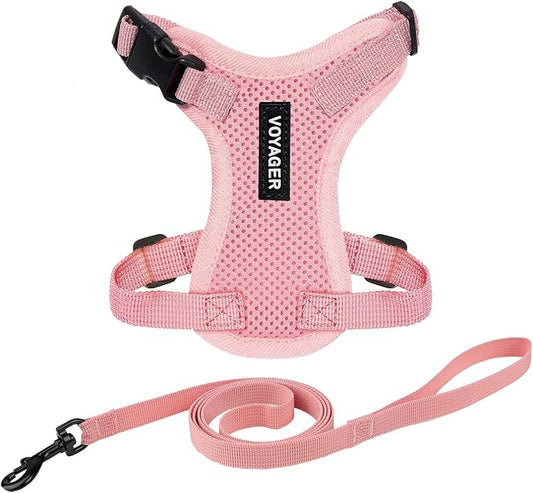 Voyager Step-in Lock Adjustable Cat Harness w. Cat Leash Combo Set with Neoprene Handle 5ft - Supports Small, Medium and Large Breed Cats by Best Pet Supplies - Pink, XS