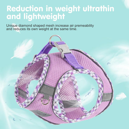 Dog Harness and Leash Set, No Pull Soft Breathable Adjustable Reflective Step In Vest Harness for Puppy, Kitten, Cats